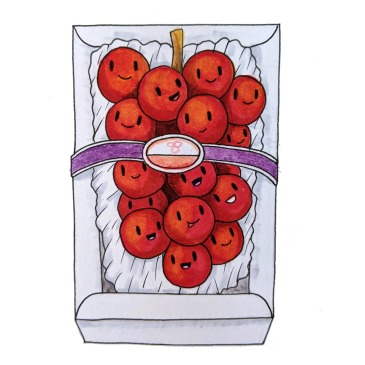 worlds most expensive grapes ruby roman japan drawing