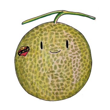 World's most expensive melon cantelope Yubari Japan cute kawaii