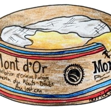 Mont d'Or cheese illustration france fromage